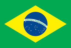 Brazil team logo
